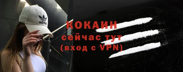 спайс Алексин