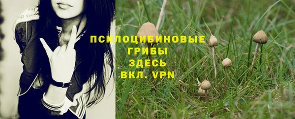 спайс Алексин