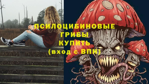 спайс Алексин