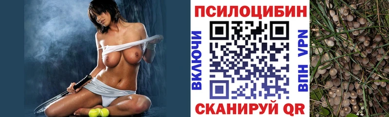 Галлюциногенные грибы MAGIC MUSHROOMS Кольчугино